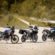 BMW Motorrad presenta las nuevas BMW F 900 GS , F 900 GS Adventure y F800GS